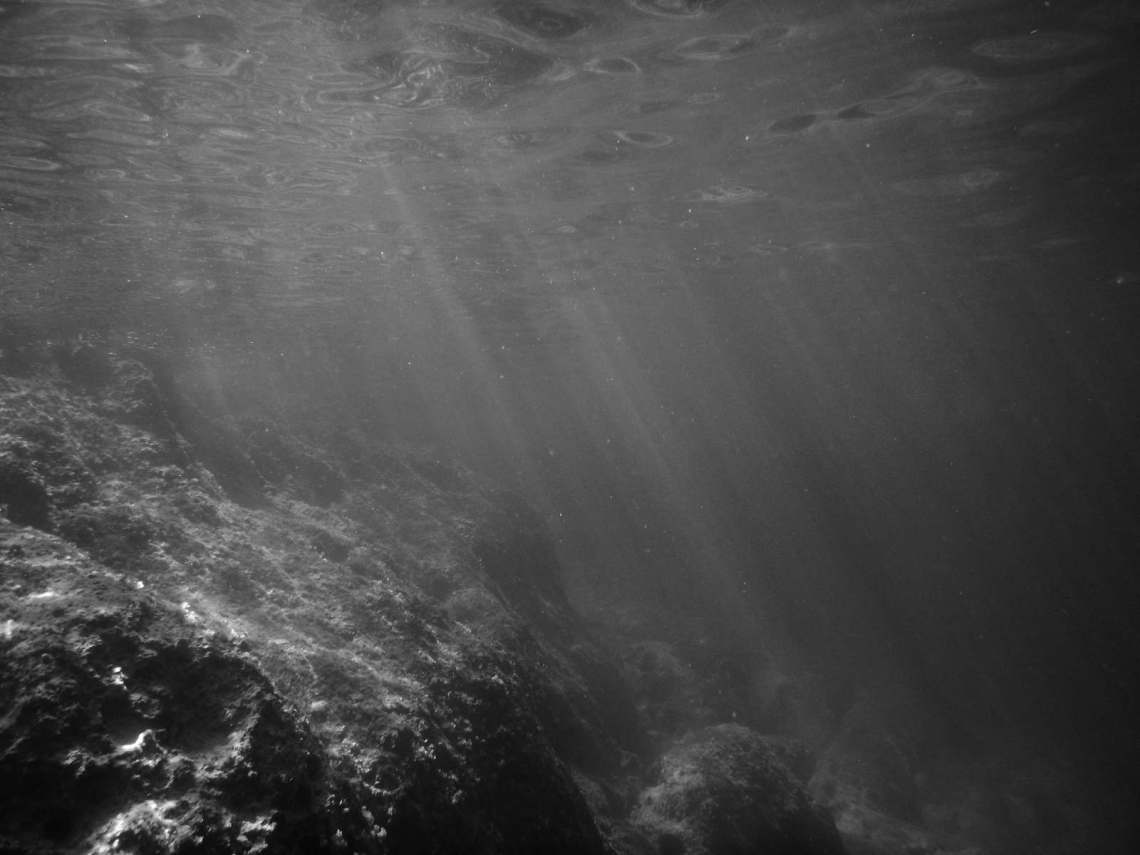 4.-Tanja-Deman--2015_1600_c