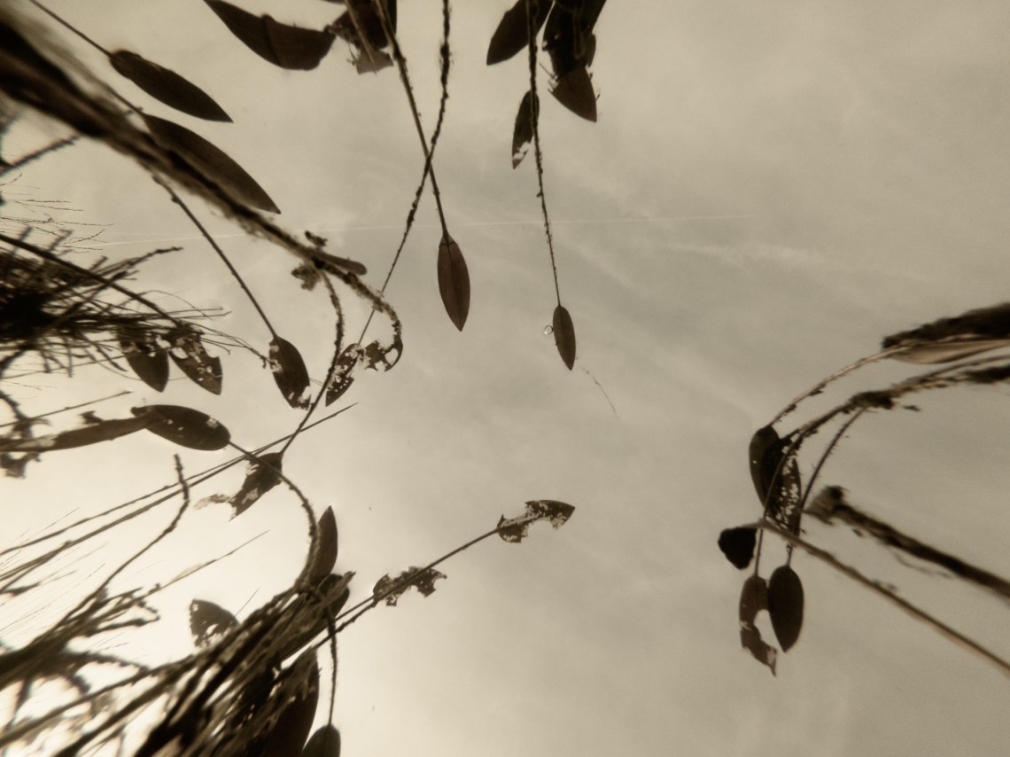 C:DCIM100GOPROG0053379.GPR