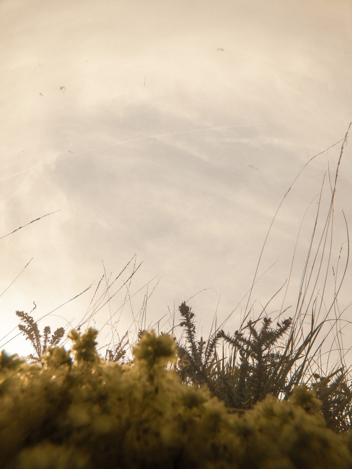 C:DCIM100GOPROG0053387.GPR