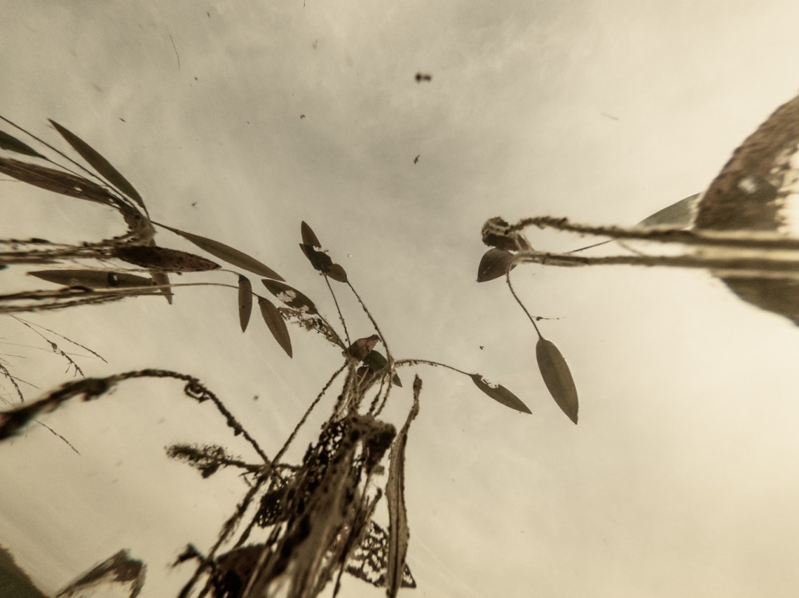 C:DCIM100GOPROG0093442.GPR