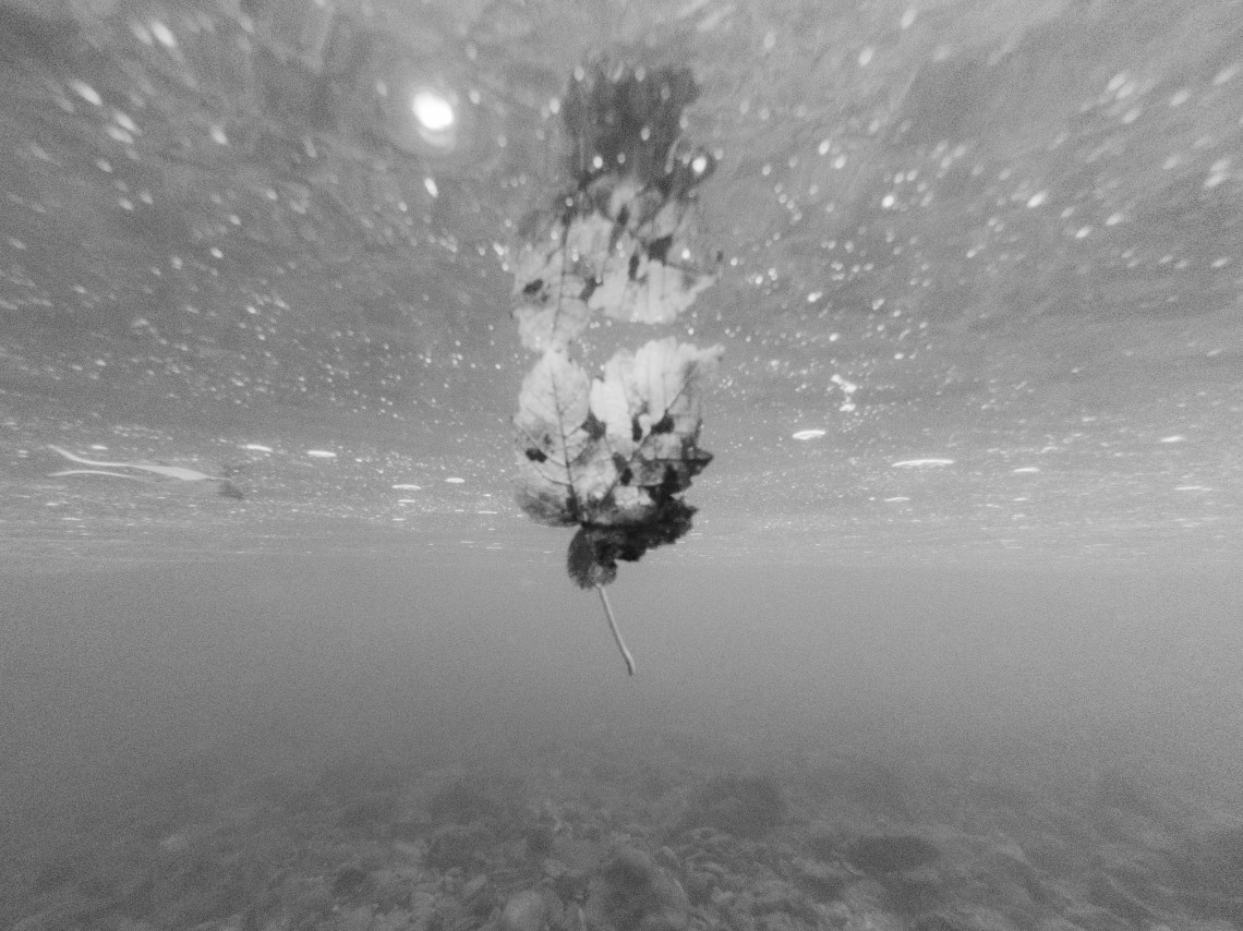 C:DCIM100GOPROG0113483.GPR