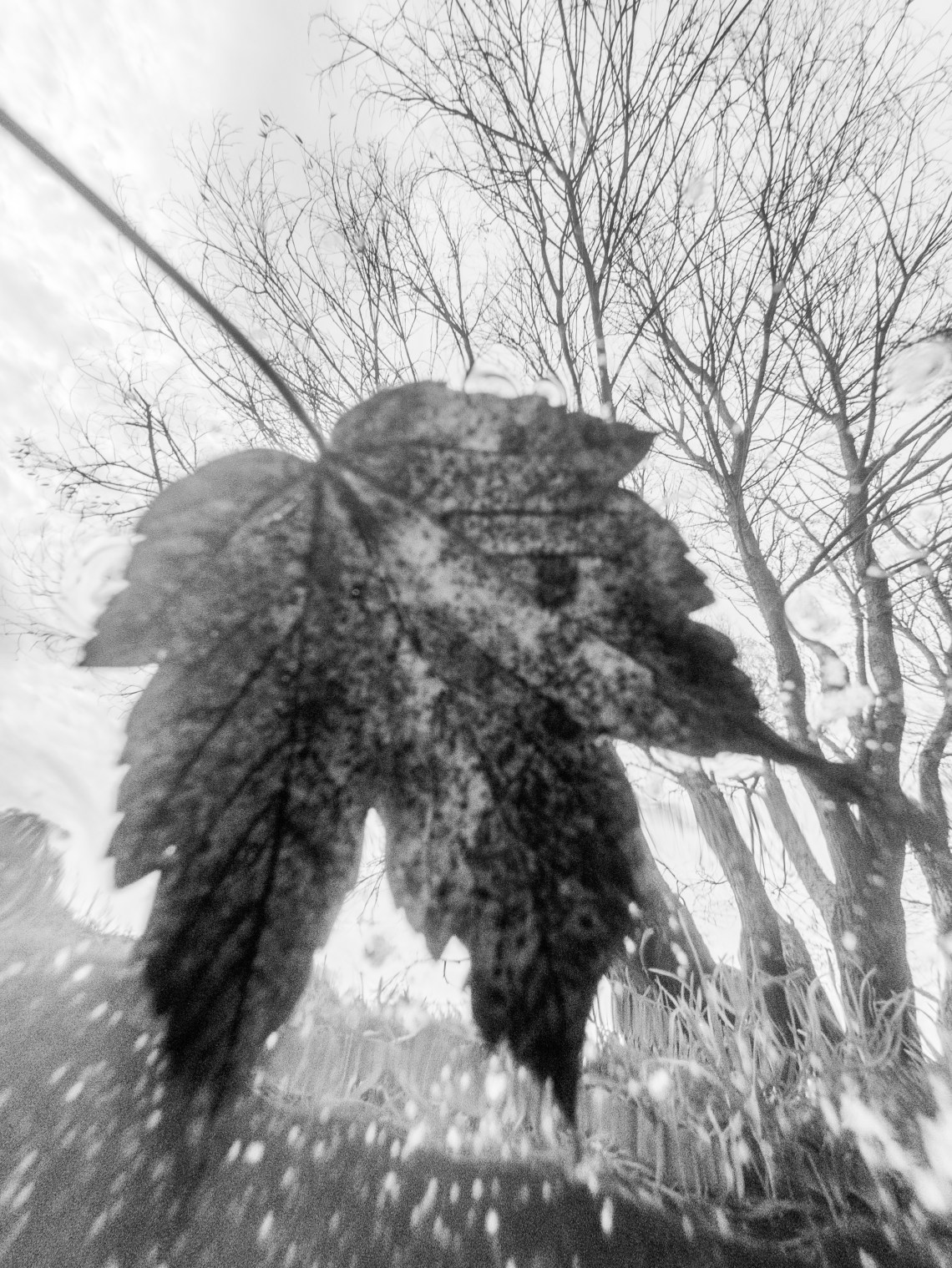 C:DCIM100GOPROG0123505.GPR