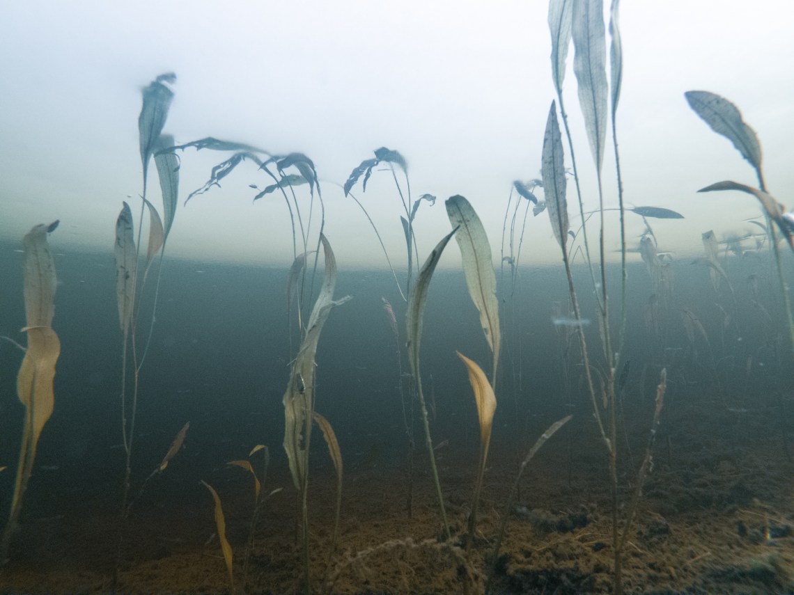 C:DCIM100GOPROG0034017.GPR