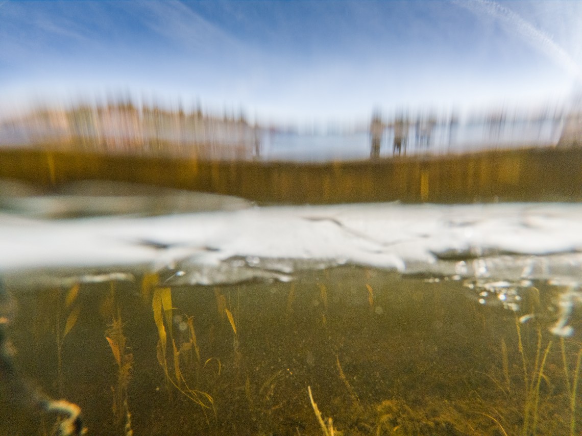 C:DCIM100GOPROG0044029.GPR