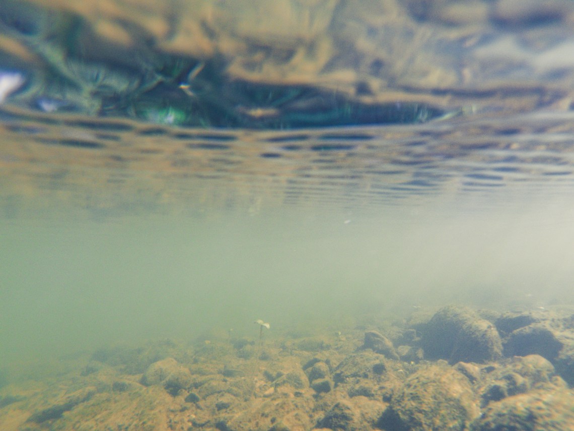 C:DCIM100GOPROG0054154.GPR