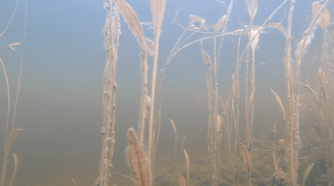 Screen Shot 2019-12-01 at 14.47.59