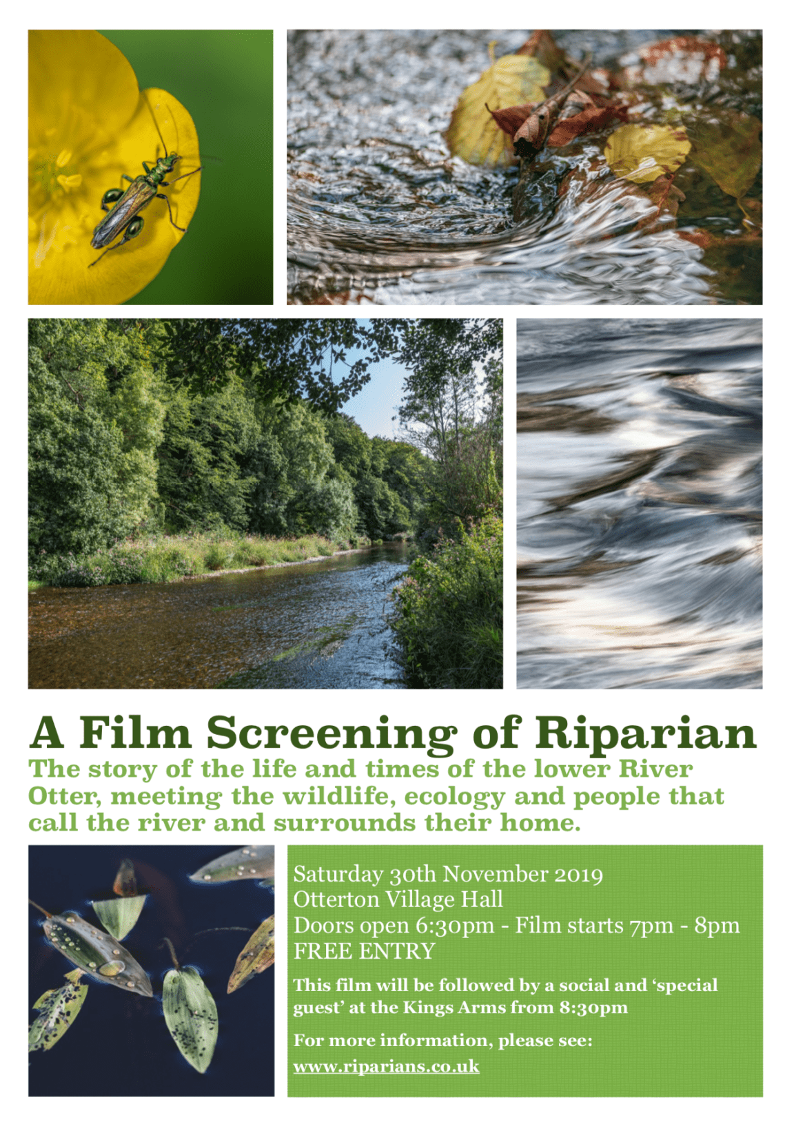 Screen Shot 2019-12-12 at 12.54.30