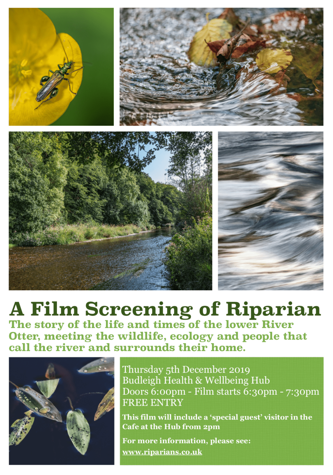 Screen Shot 2019-12-12 at 12.54.43